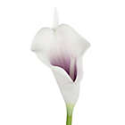 Alternate image 3 for Pure Garden 24-Piece Artificial Purple/White Calla Lily Bundle