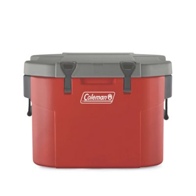 coleman luggage 20 inch