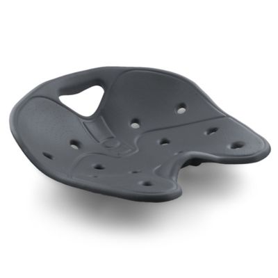 BackJoy&reg; SitSmart Posture Core in Onyx