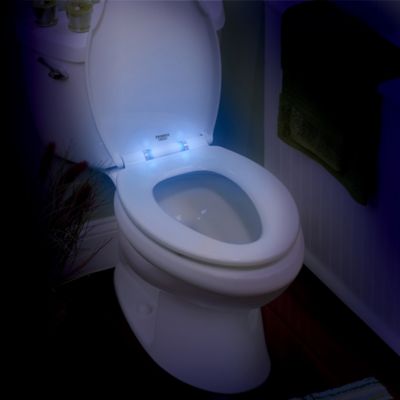 blue and white toilet seat