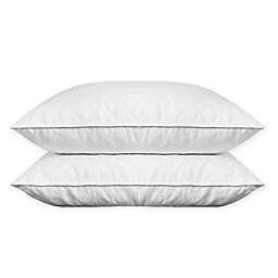 Puredown Quilted White Goose Feather and Down King Pillows (Set of 2)