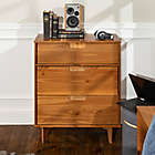 Alternate image 7 for Forest Gate&trade; Diana Solid Wood 3-Drawer Dresser in Caramel