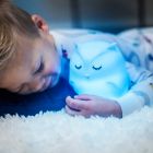 Alternate image 2 for Lumipets Owl Nightlight