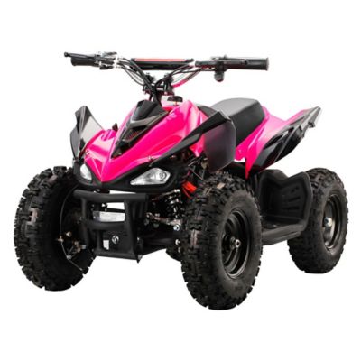 mototec 24 volt mini quad