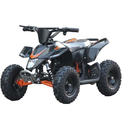 24v ride on quad