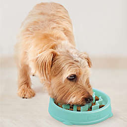 Outward Hound® Tiny Wave Fun Feeder™ Pet Bowl in Mint