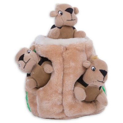 squirrel tree dog toy