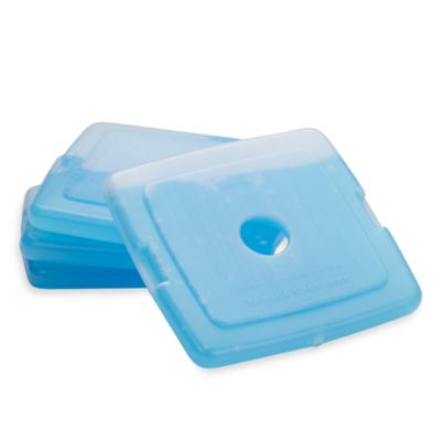 fit and fresh cool coolers