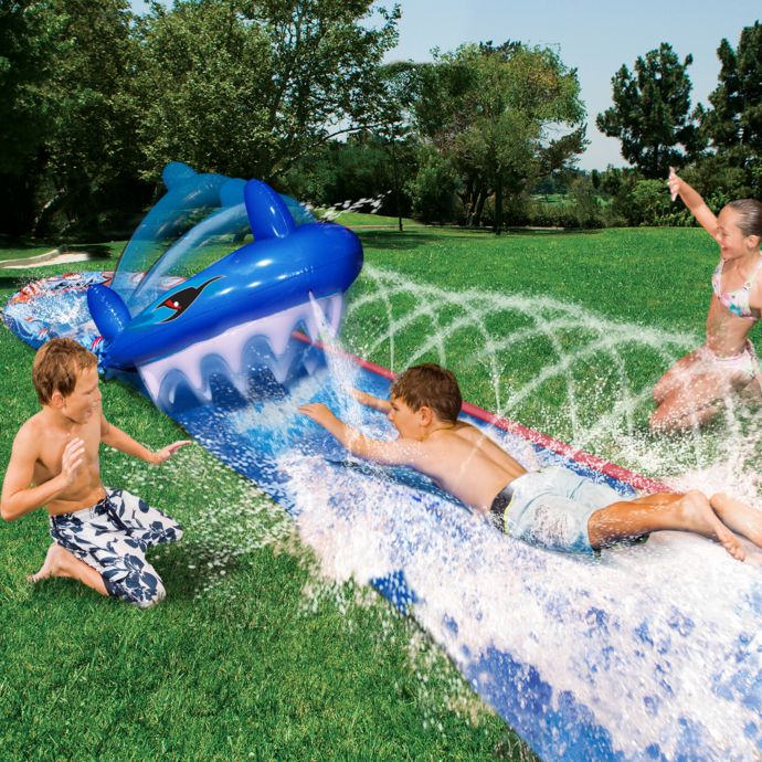 shark bite water slide