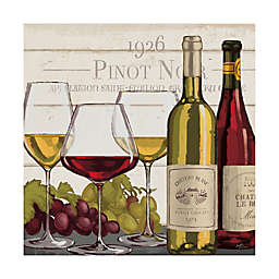 Trademark Fine Art Rustic Wine Tasting III Canvas Wall Art