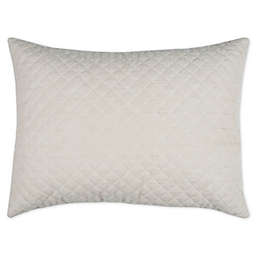 Donny Osmond™ Breeze King Pillow Sham in Natural