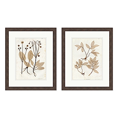 Vintage Botanicals 18-Inch x 22-Inch Framed Wall Art (Set of 2). View a larger version of this product image.
