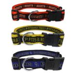 Dog Collars, Leashes & Harness