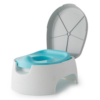 summer potty seat