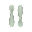 Alternate image 0 for ezpz Tiny Spoons in Sage (Set of 2)