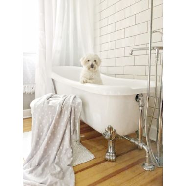 The Pickled Rose Shop the Room Collection. View a larger version of this product image.