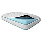 Alternate image 1 for Tempur-Pedic&reg; TEMPUR-Cloud&reg; Cool Standard Bed Pillow