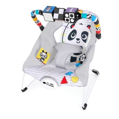 baby genius bouncer