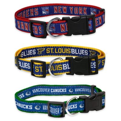 bruins dog collar