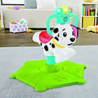 Alternate image 1 for Fisher-Price&reg; Bounce &amp; Spin Puppy