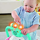 Alternate image 2 for Fisher-Price&reg; Bounce &amp; Spin Puppy