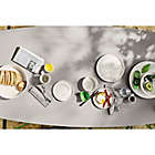 Alternate image 2 for Artisanal Kitchen Supply&reg; Coupe Marbleized Dinner Plates in Grey (Set of 4)
