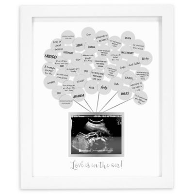 michaels ultrasound frame