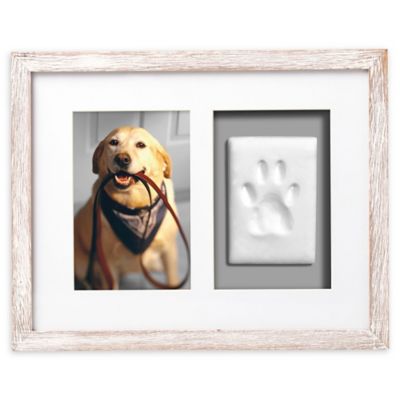 pearhead dog collar frame