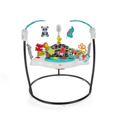 rainforest jumperoo batteries