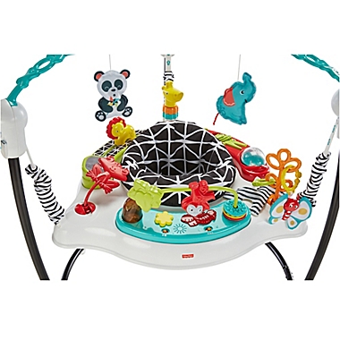 Fisher-Price&reg; Animal Wonders Jumperoo&reg;. View a larger version of this product image.