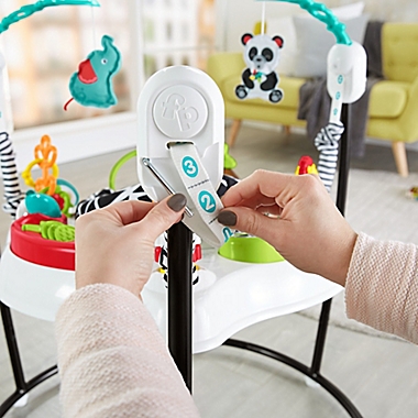 Fisher-Price&reg; Animal Wonders Jumperoo&reg;. View a larger version of this product image.