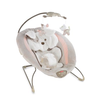 snugapuppy deluxe bouncer