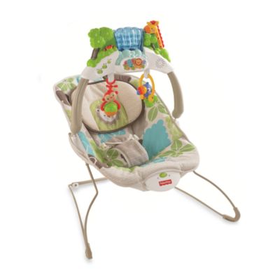 fisher price bear bouncer