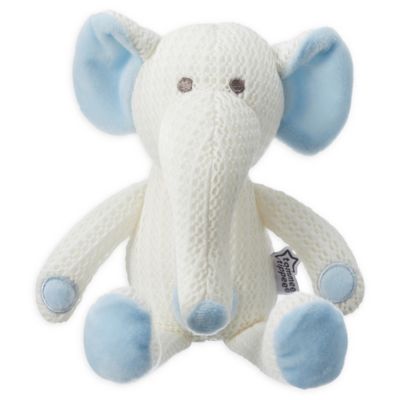 tommee tippee teddy