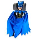 Alternate image 0 for KIDSEmbrace DC Comics Batman Combo Booster Car Seat