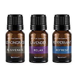 SpaRoom® 3-Pack Everyday Essential Oils