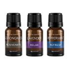 Alternate image 0 for SpaRoom&reg; 3-Pack Everyday Essential Oils