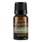 Alternate image 0 for SpaRoom&reg; Eucalyptus 10 mL Essential Oil