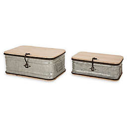 Galvanized Wood Storage Chests in Silver/Brown (Set of 2)