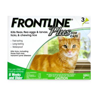 frontline plus bath