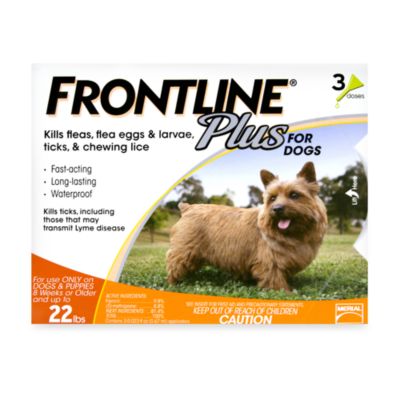 frontline plus bath