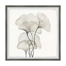 Marmont Hill Ginkgo Biloba Leaves 32-Inch Squared Framed Wall Art
