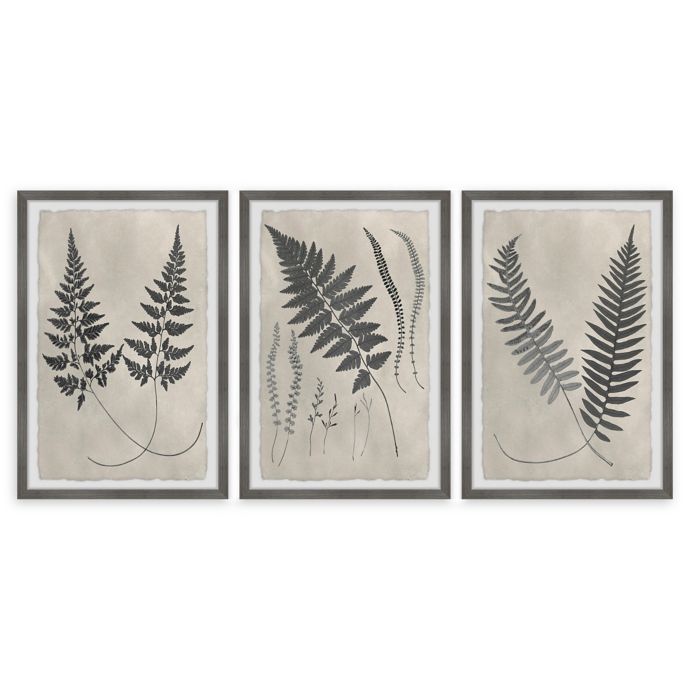 Marmont Hill Vintage Fern Study II Framed Wall Art Set | Bed Bath & Beyond