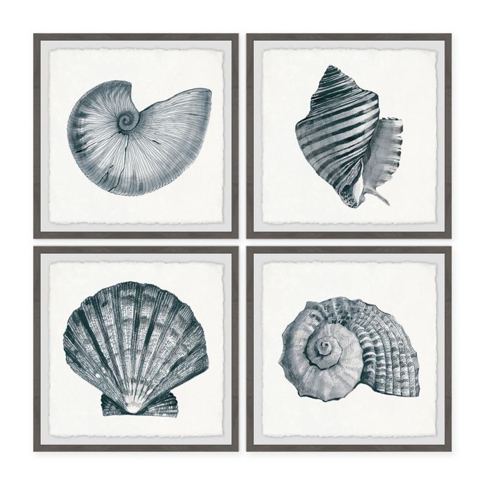 Marmont Hill Gray Sea Shells Framed Wall Art Set Bed Bath Beyond