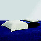 Alternate image 0 for Calvin Klein&reg; Sonny Reversible King Duvet Cover in Cream/Navy
