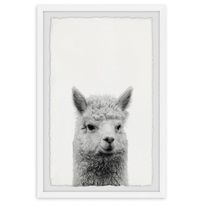 Marmont Hill Gen X Llama Framed Wall Art | Bed Bath & Beyond
