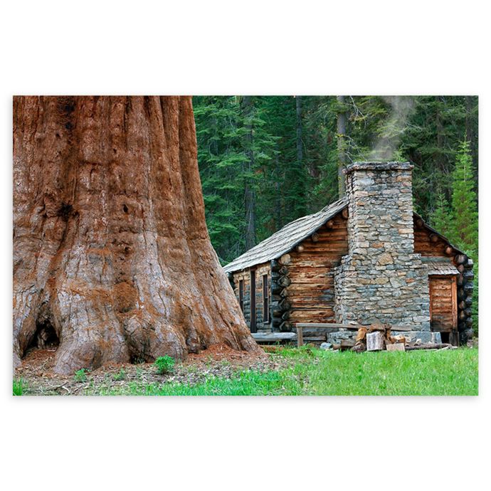 Colossal Images Giant Sequoia Redwoods Canvas Wall Art Bed Bath Beyond