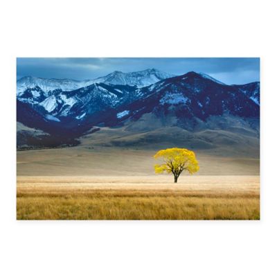 24 by 36-Inch ArtWall Dan Wilsons Mountain Meadow Art Appeelz Removable Graphic Wall Art 