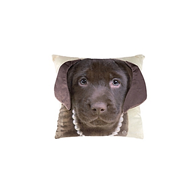 Rachael Hale&reg; Animals Cocoa Square Throw Pillow. View a larger version of this product image.