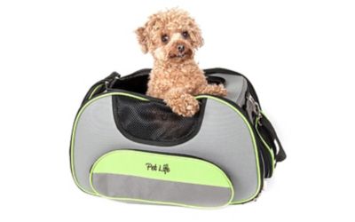 pet carrier canada